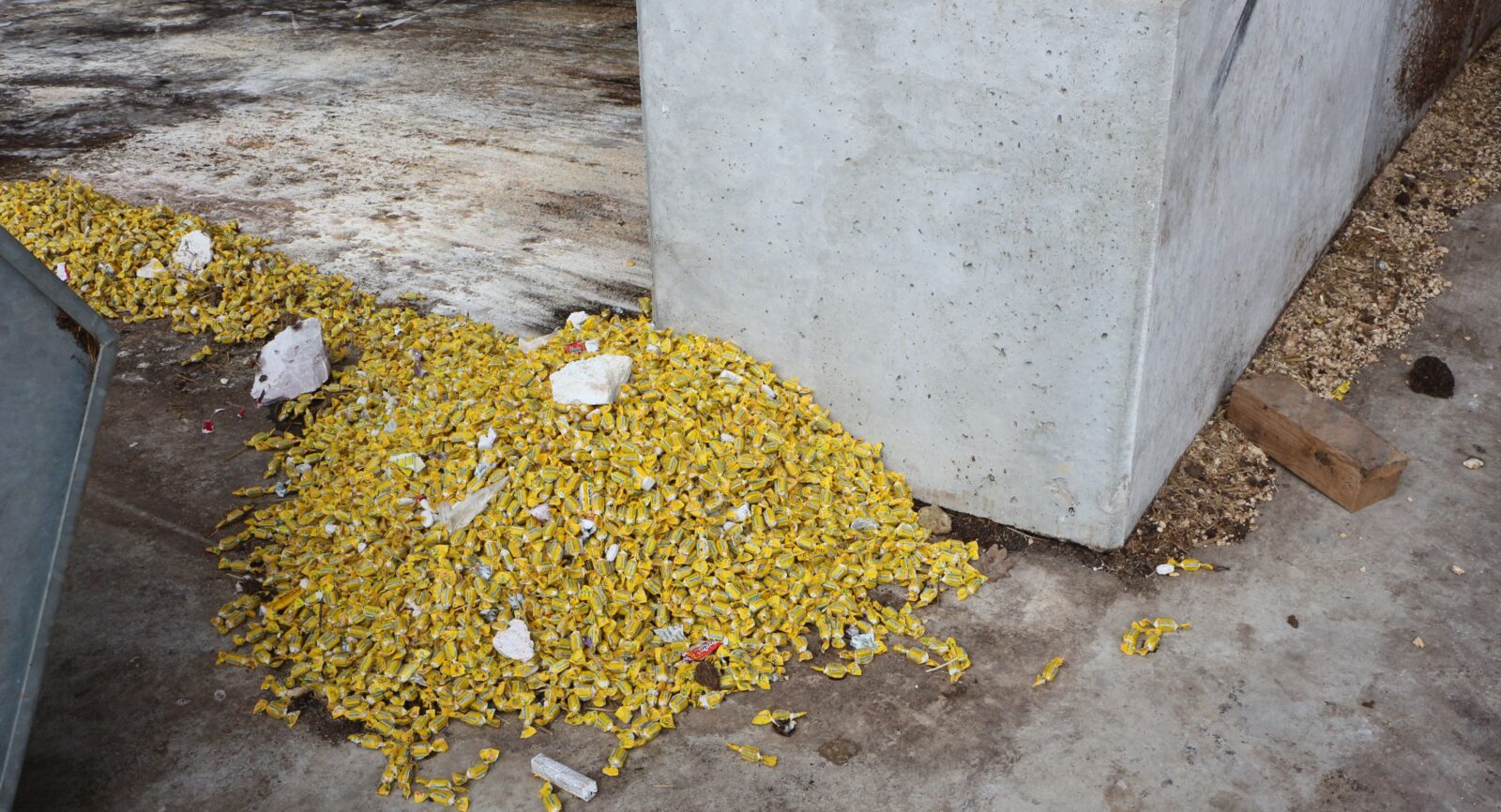 Der Produktionsausschuss aus der Ricola-Fabrik in Laufen landet als verwertbare Biomasse ebenfalls im Fermenter.