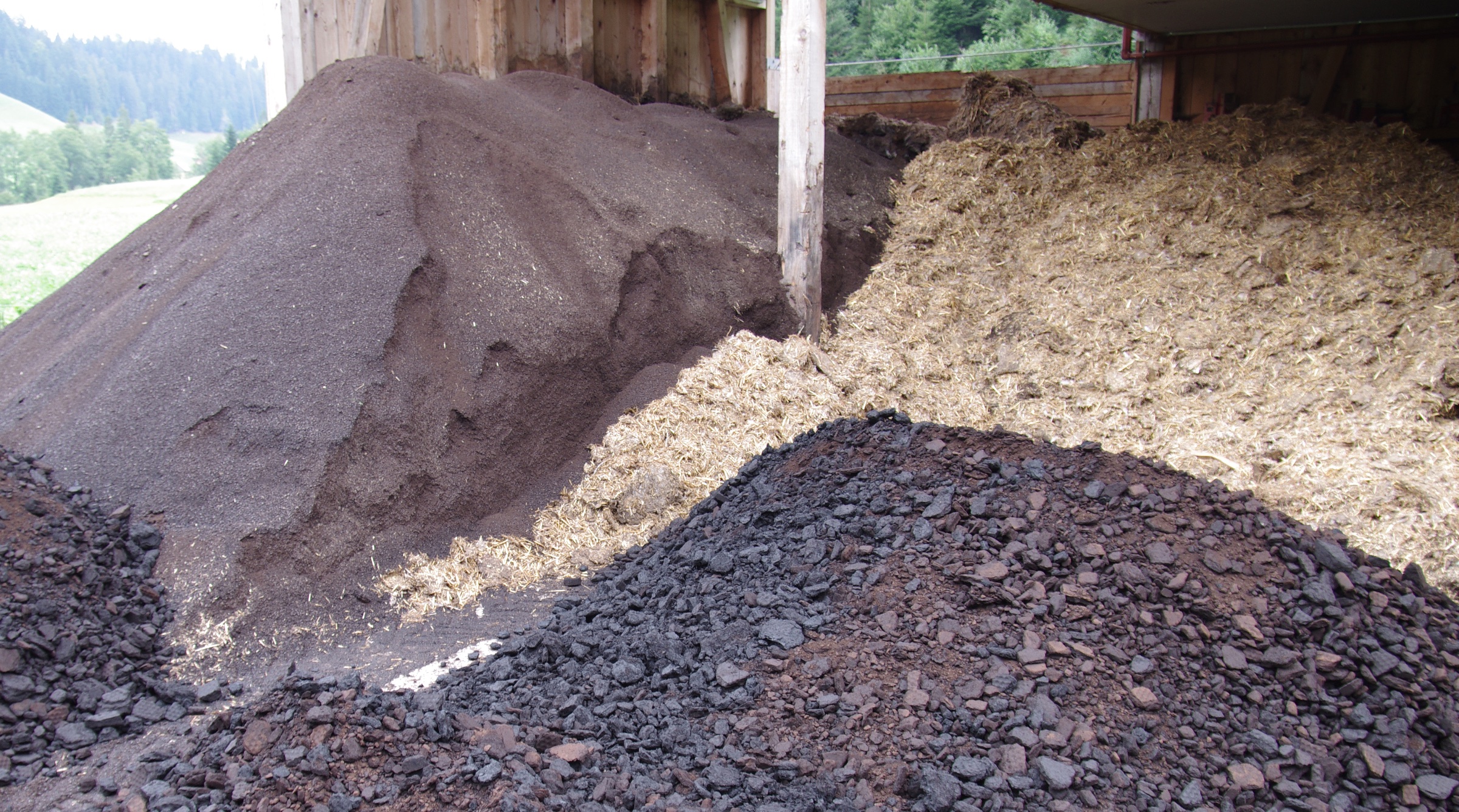 4 Familie Beer Bild 7 gr