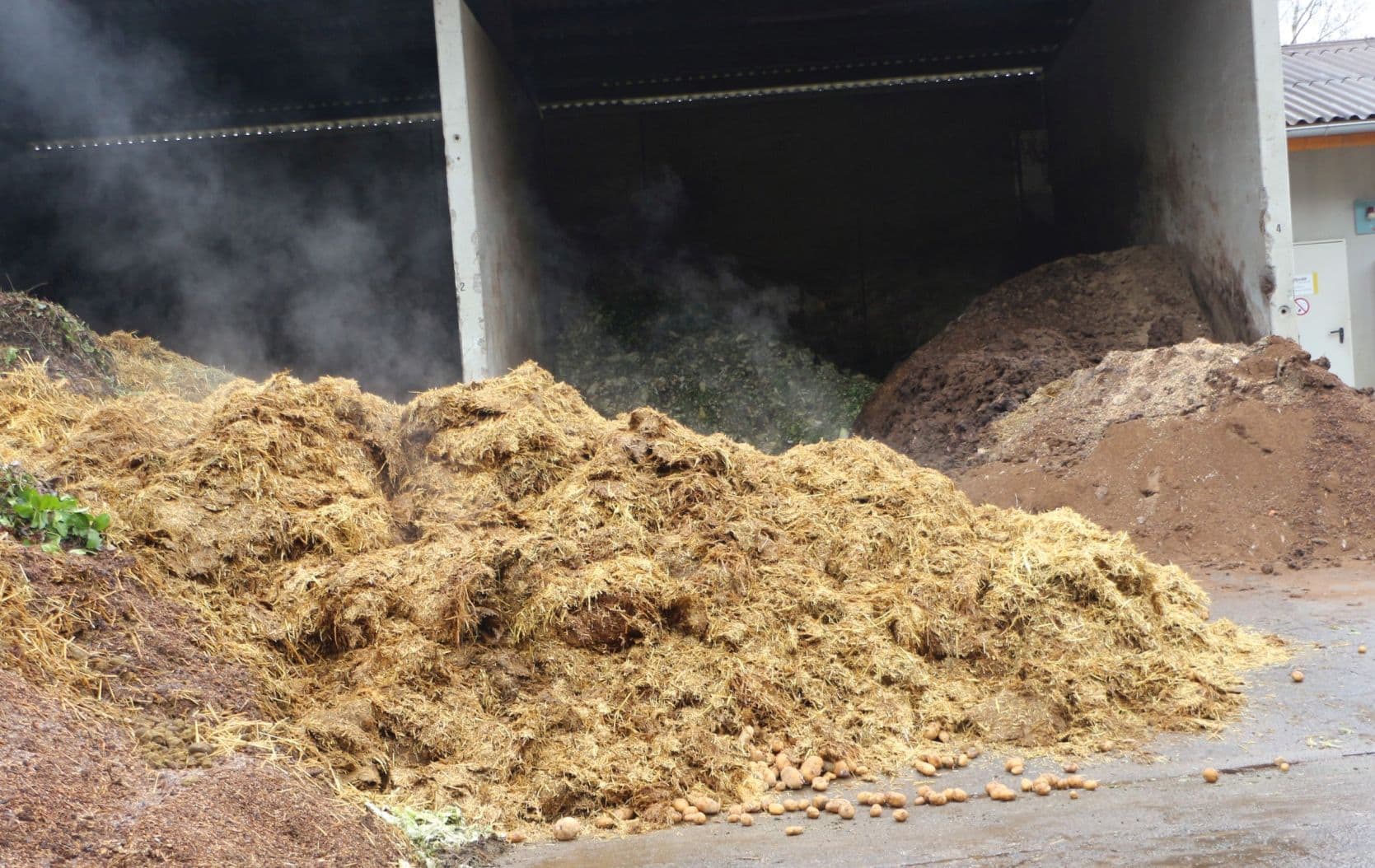 A1 2021 Powerloop BGA Thayngen Mist IMG 9097 kl